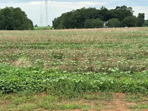 Lot 1 Cowarts Creek Rd, Ashford, AL 36312