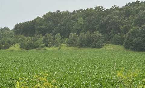 205th St and 125th Avenue, Grand River, IA 50144