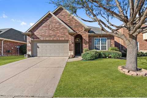1213 Egret Court, Little Elm, TX 75068