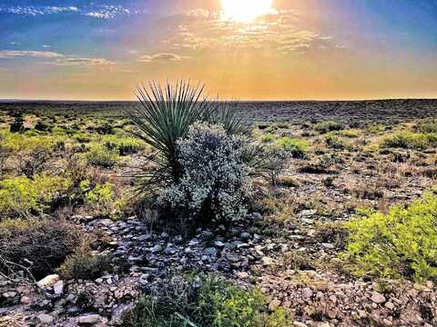 000 Hargrove Winters, Langtry, TX 78871