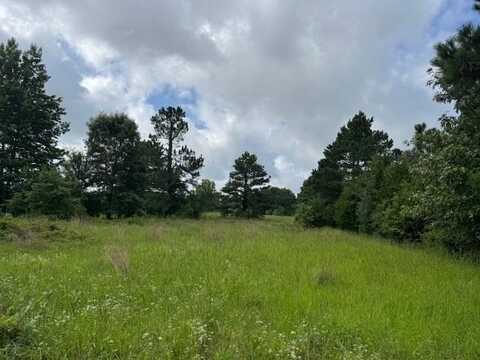 Tbd County Road 1792, Yantis, TX 75497