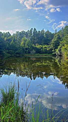 363 Acres FL-85, Laurel Hill, FL 32567