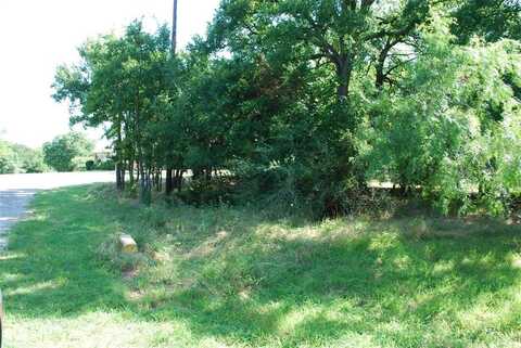 14057 Sandy Oaks Drive, Whitney, TX 76692