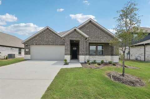 1056 Chestnut Drive, Lavon, TX 75166