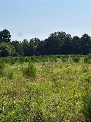 001 Fm-144, Daingerfield, TX 75638