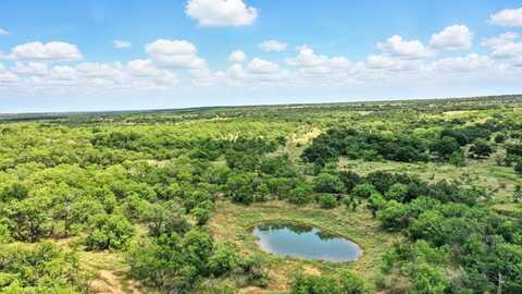 Tract 5 State Highway 6, Moran, TX 76464