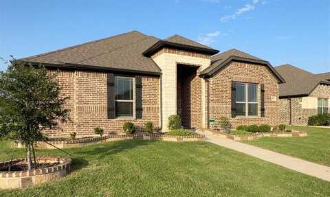 196 Lady Bird Drive, Waxahachie, TX 75165