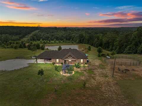 480 Clowers Road, Diana, TX 75640