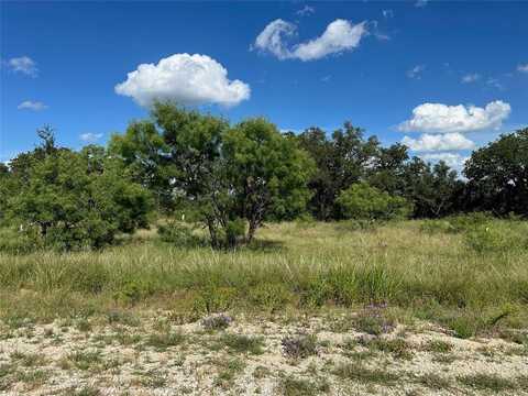463 Feather Bay Drive, Brownwood, TX 76801