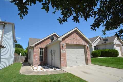 853 Village Point Lane, Fort Worth, TX 76108
