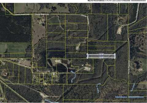 4.9 Acs Off CR 2141, Troup, TX 75789