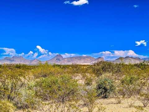 16320 Javelina Run, Terlingua, TX 79852