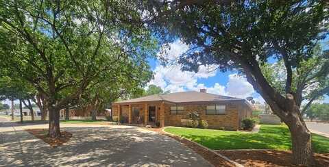810 NE Ave F, Andrews, TX 79714