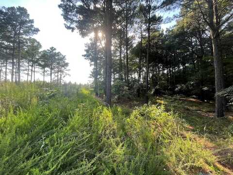 558 Scrub Oak Road, Broken Bow, OK 74728