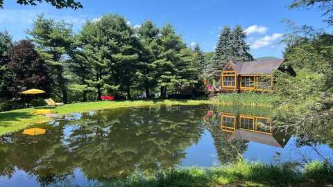 226 Crystal Meadows Rd, Downsville, NY 13782