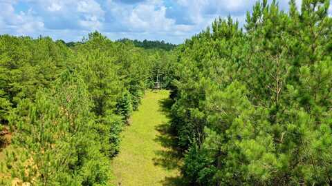 0 Attala Rd 3217/New Salem Rd, Kosciusko, MS 39090