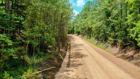 0 Attala Rd 3217/New Salem Rd, Kosciusko, MS 39090