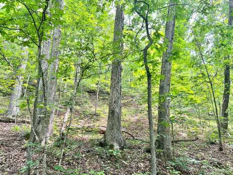 0 Manilla Ridge Rd., Leon, WV 25123