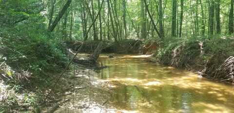 0 County Rd 6, Tract A, Selma, AL 36701