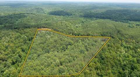 0 Old Mail Road Lot 26, Duck River, TN 38454