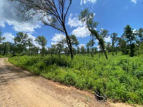 TBD Verbena Road, Ore City, TX 75683