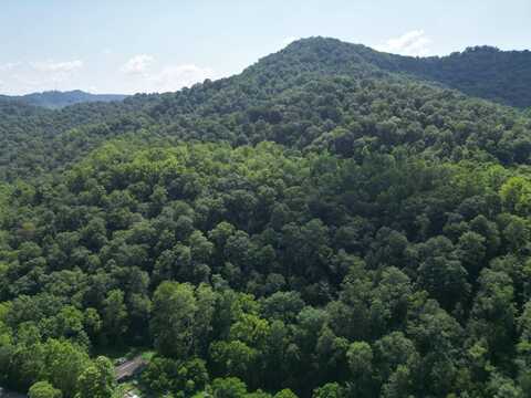 00 Honey Camp Rd., Nellis, WV 25142