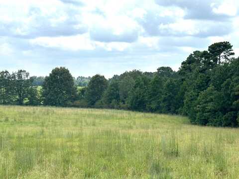 0003 woody Pace rd, Antlers, OK 74523