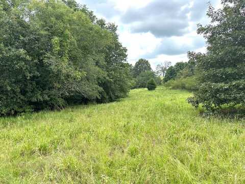 0001 E 1960 Rd, Antlers, OK 74523