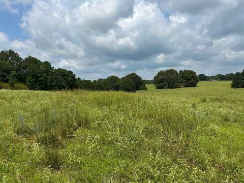 0000 woody pace rd, Antler, OK 74523