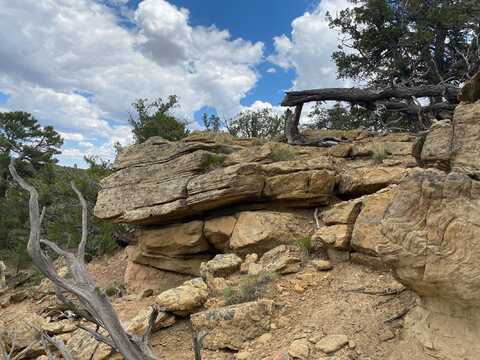 Jubilee Trail lot: 2, Ramah, NM 87321