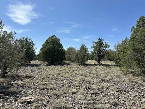 124 Dry Gulch, Seligman, AZ 86337