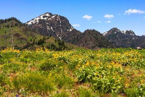 NHN Peak Point Drive lot: 1, Livingston, MT 59047