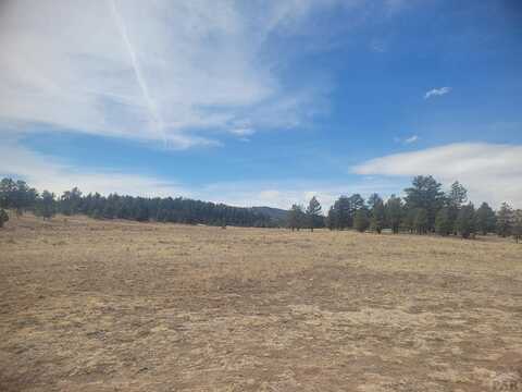 2450 Antelope Lane, Guffey, CO 80820