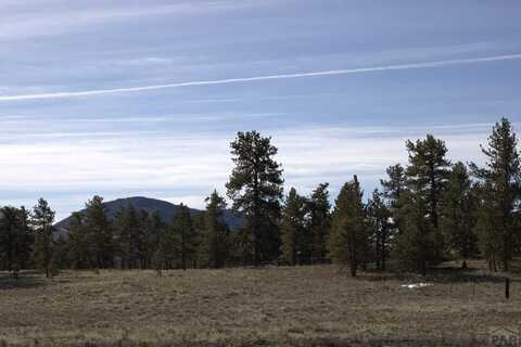 2450 Antelope Lane, Guffey, CO 80820