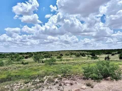 Camp Springs Rd, Snyder, TX 79549