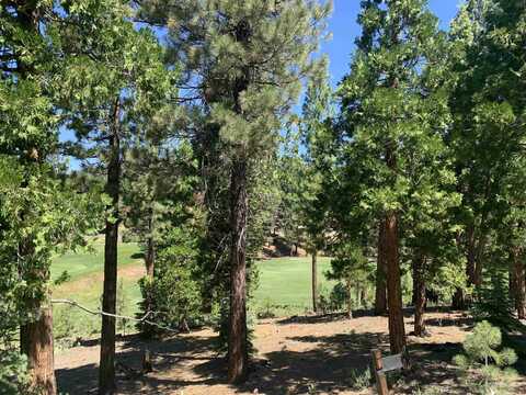 2066 Grizzly Ranch Road, Portola, CA 96122
