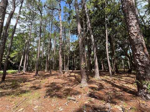 600 Fort Charlotte Avenue, Dauphin Island, AL 36528