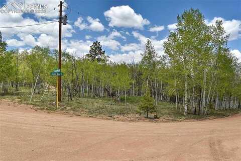 55 Aspen Way Drive, Guffey, CO 80820