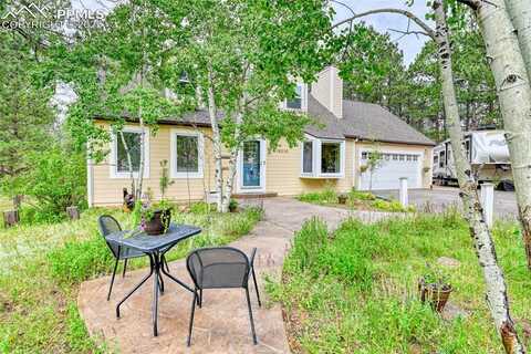 18210 Pine Vista Place, Colorado Springs, CO 80908