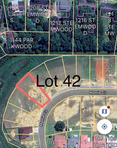 NHN lot 42 Mamie Circle, Picayune, MS 39466