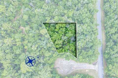 9870 N Sky Point, Dunnellon, FL 34434
