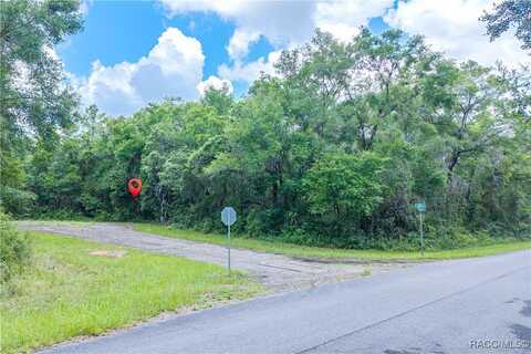 9870 N Sky Point, Dunnellon, FL 34434