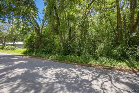 474 N Morris Avenue, Inverness, FL 34453