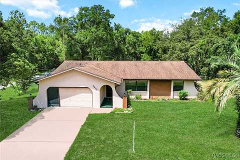 8624 N Dove Orchid Drive, Citrus Springs, FL 34434