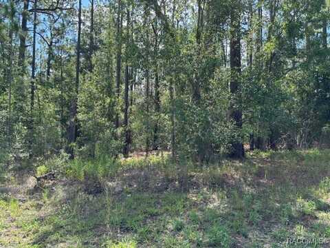 7861 N Valhalla Drive, Citrus Springs, FL 34434