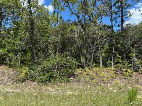 9700 N Lois Terrace, Citrus Springs, FL 34433