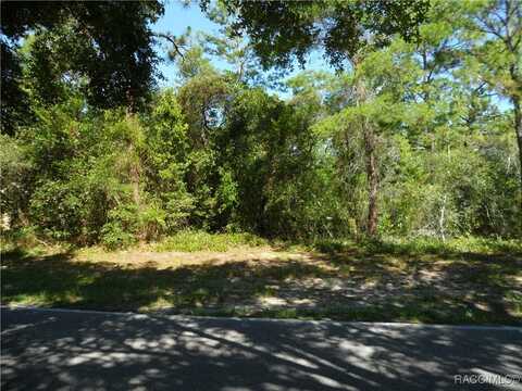 119 Oak Village Boulevard, Homosassa, FL 34446