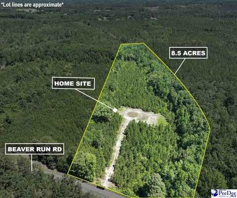878 Beaver Run Rd, Cheraw, SC 29520