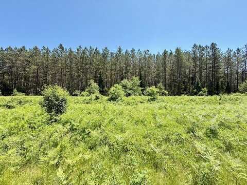 0 Phipps Road and Brook Lane, Hayward, MN 54843