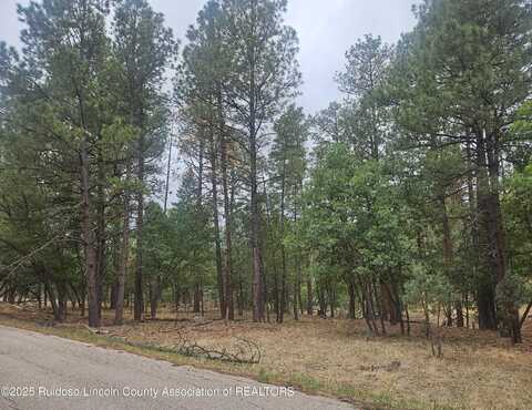 74 Lot Silvertip Trail, Alto, NM 88312